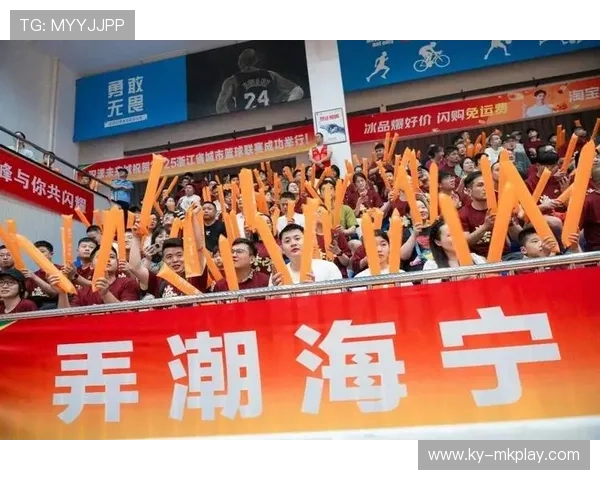 2026年篮球联赛青训营志愿者管理系统新增心理支持资源库，篮球赛志愿者招募